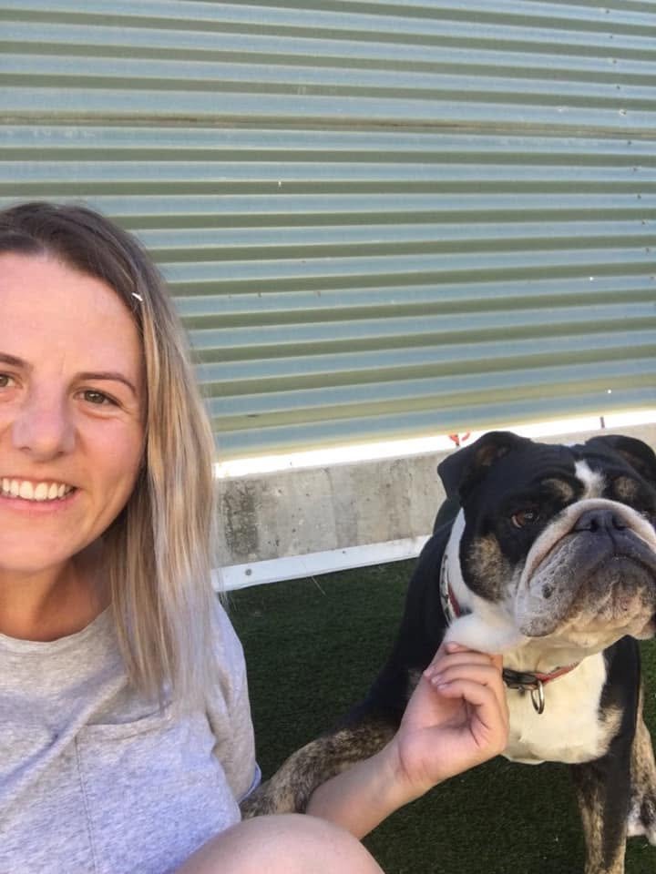 Alpha Lodge Pet Boarding and grooming emblem — Murray Bridge SA